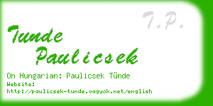tunde paulicsek business card